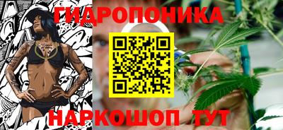 apvp Моздок