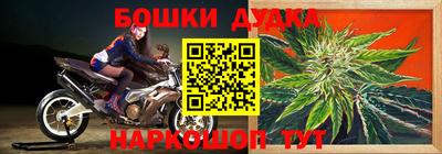 apvp Моздок