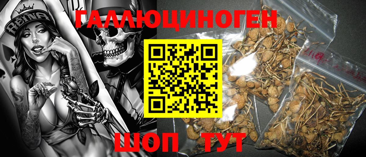 Югорск  Псилоцибиновые грибы Magic Shrooms  Вход с VPN 